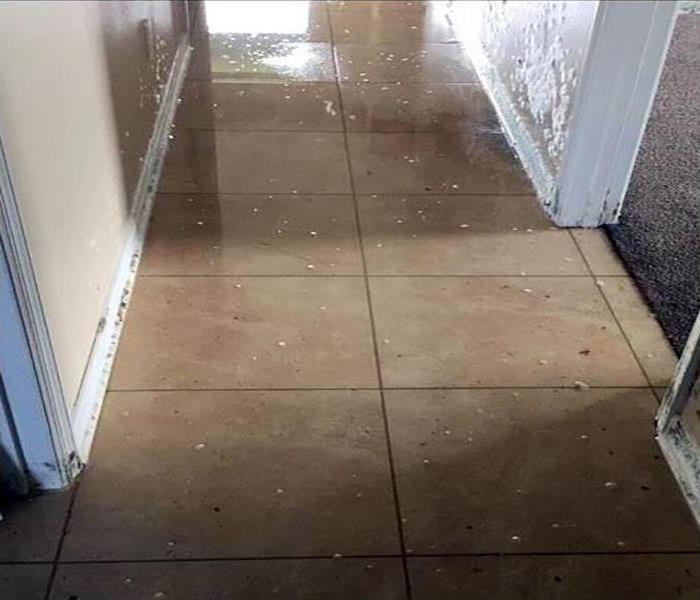 Standing water on tile flooring in a hallway