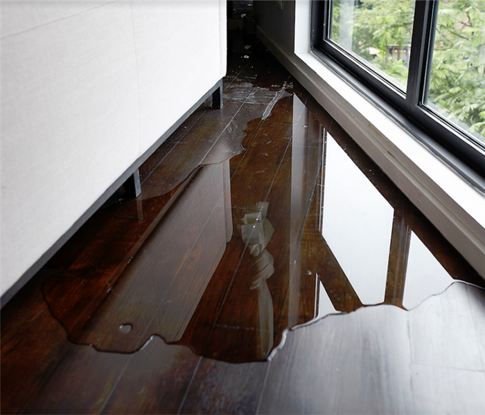 a puddle on wooden floor