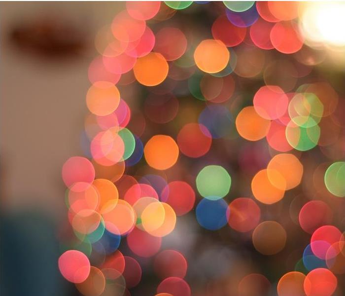 Close-up of holiday lights